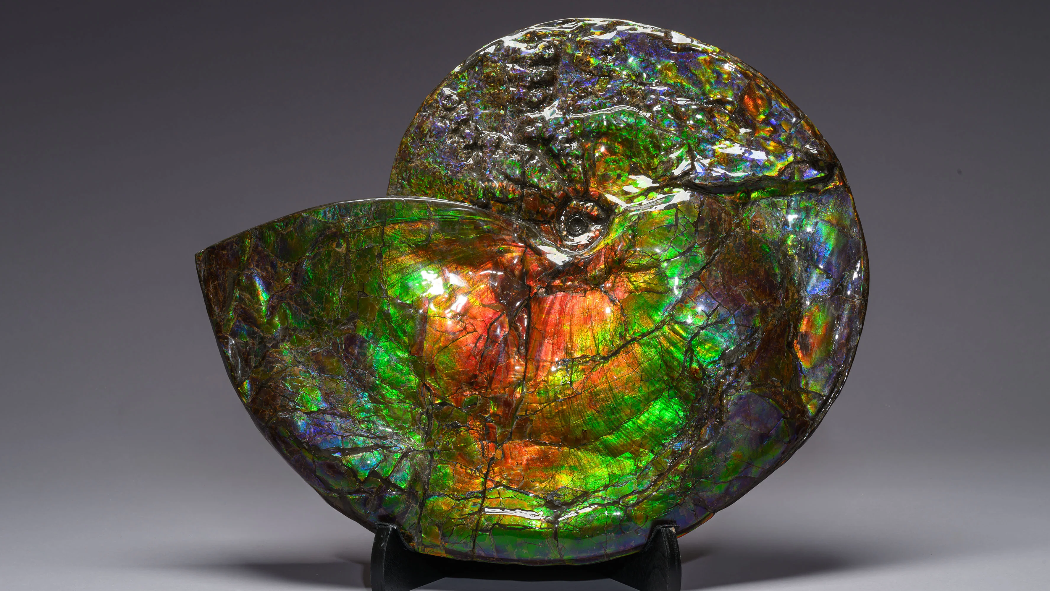 Curated Art for Modern Living